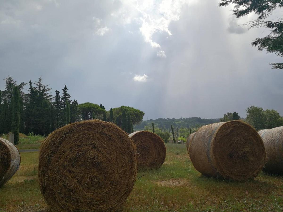 Masseria Le Querciole 파우글리아 외부 사진