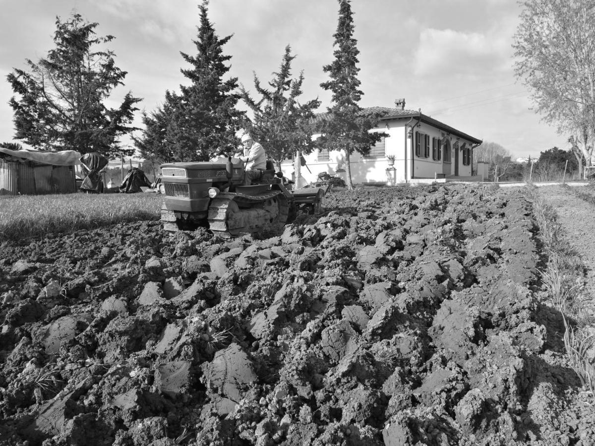 Masseria Le Querciole 파우글리아 외부 사진