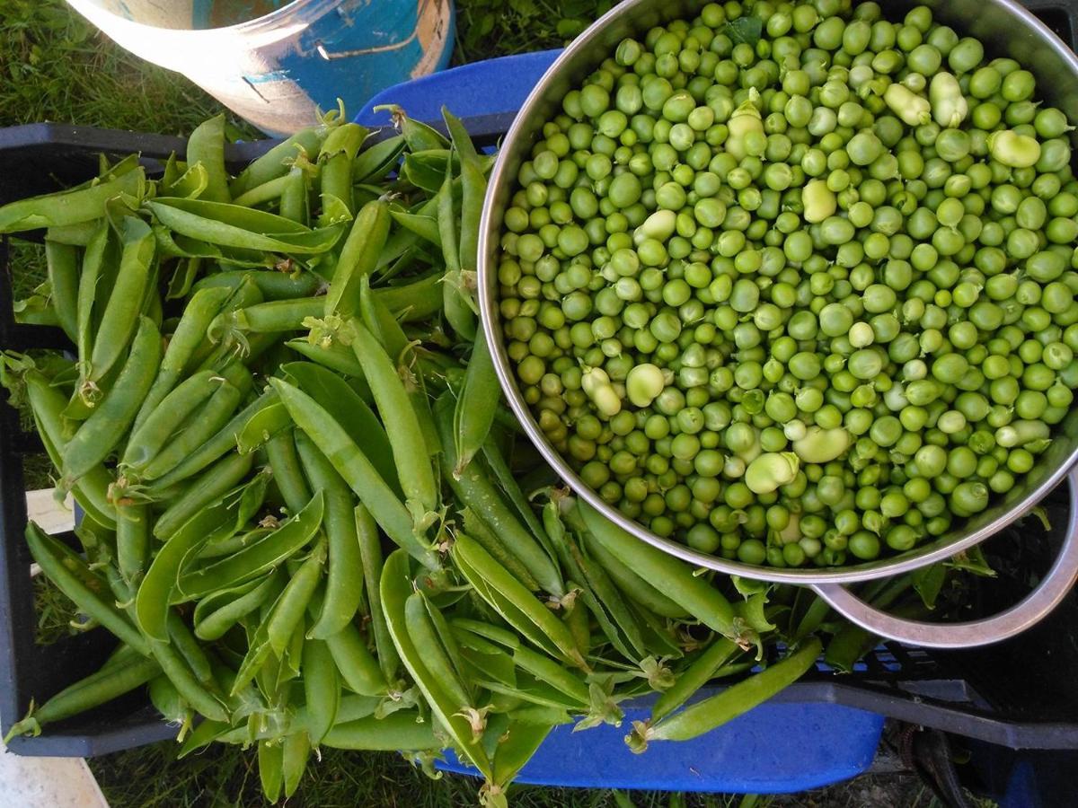 Masseria Le Querciole 파우글리아 외부 사진