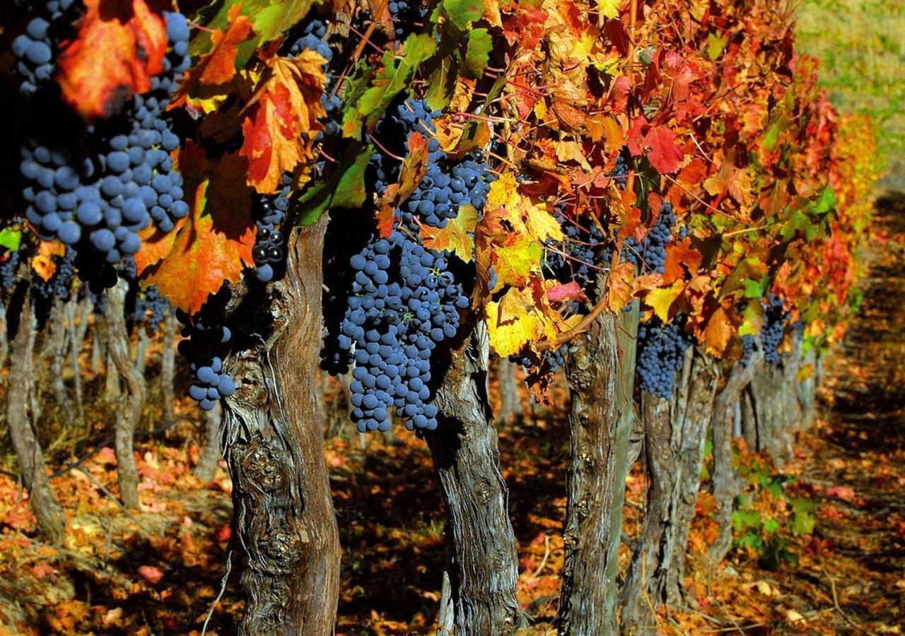Masseria Le Querciole 파우글리아 외부 사진