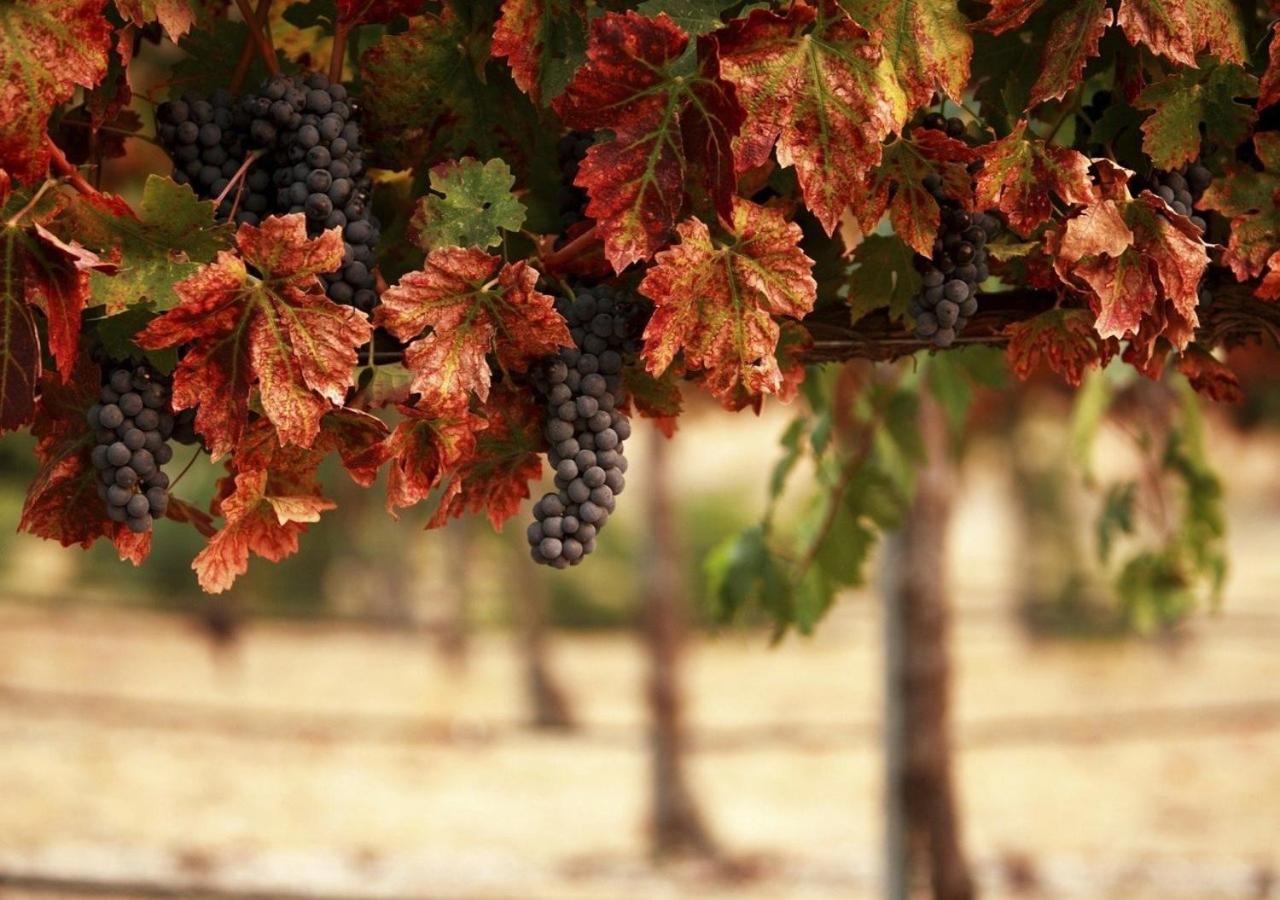 Masseria Le Querciole 파우글리아 외부 사진