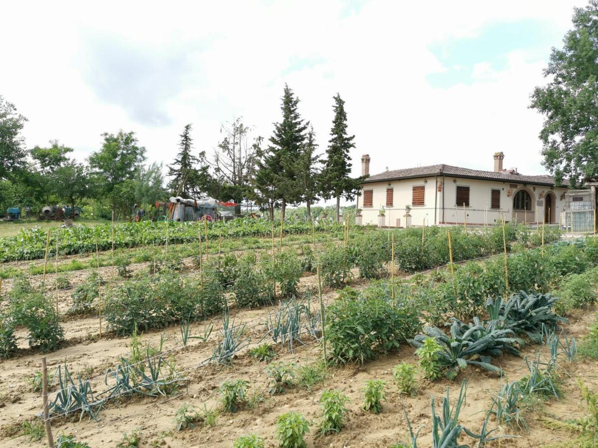 Masseria Le Querciole 파우글리아 외부 사진