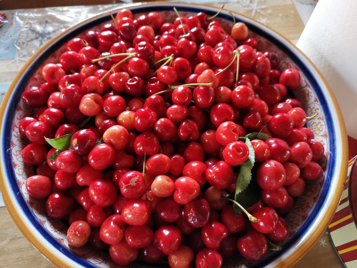 Masseria Le Querciole 파우글리아 외부 사진