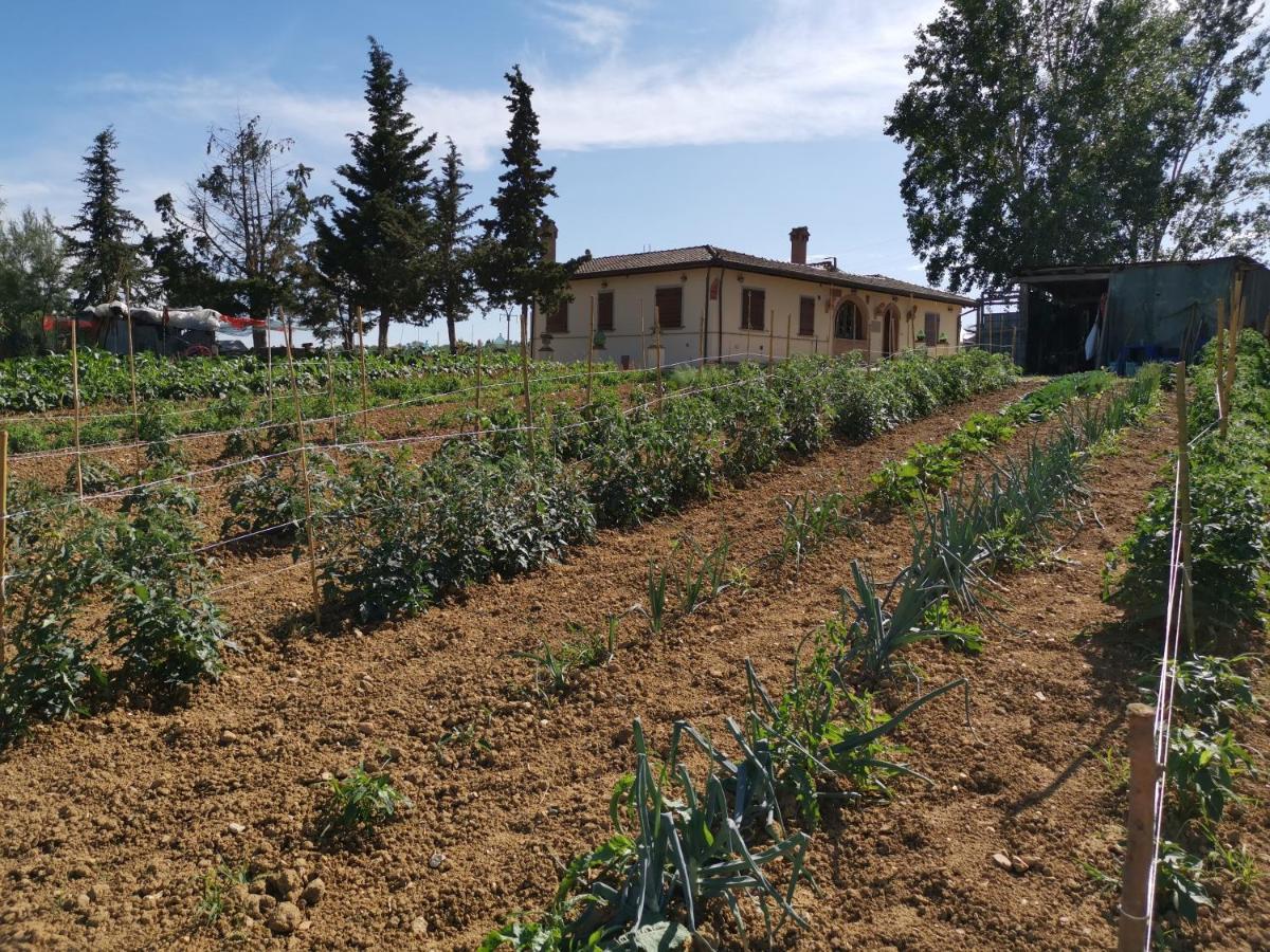 Masseria Le Querciole 파우글리아 외부 사진