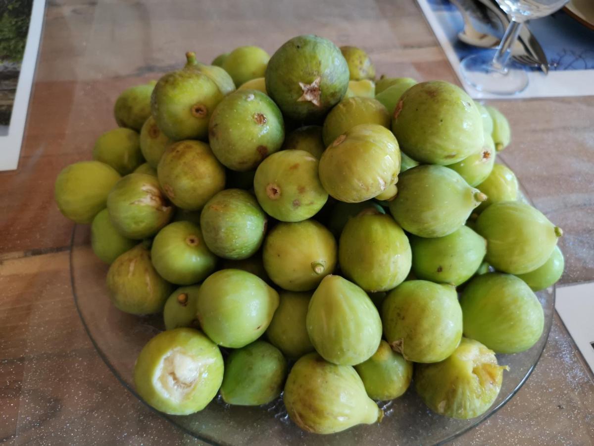 Masseria Le Querciole 파우글리아 외부 사진